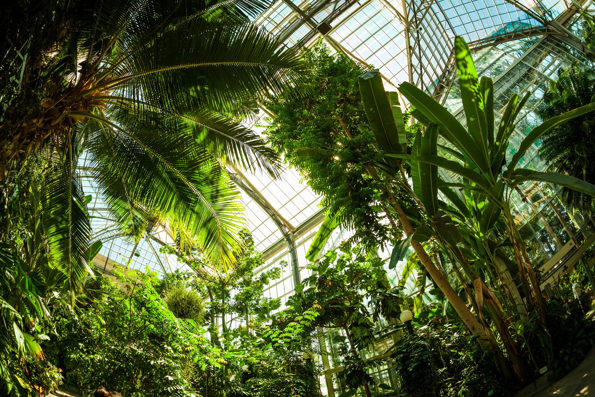 Beautiful Greenhouse Tropical Garden